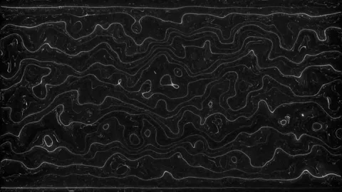 Thin film interference effect or liquid metal waves. Neon colors wavy surfa.. Stock Footage 310075934
