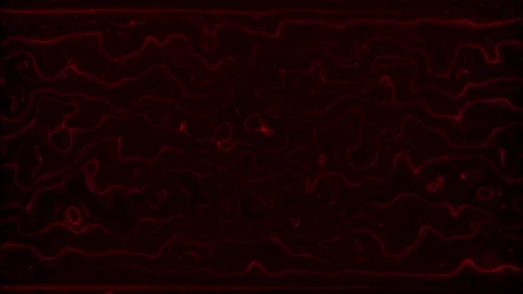 Thin film interference effect or liquid metal waves. Neon colors wavy surfa.. Stock Footage 310075970