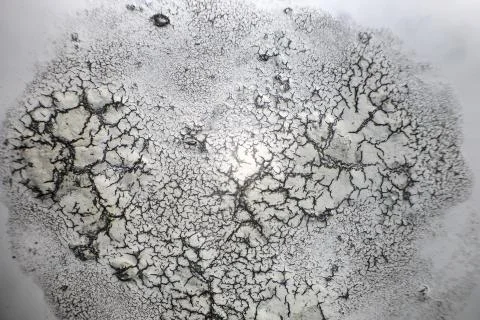 Thin glass cracked under the microscope, texture Photos