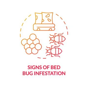 Thin gradient icon signs of bed bug infestation concept Stock Illustration