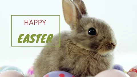 Thin green line appearing, starting box showing HAPPY EASTER, rabbit turning Stock Footage 328224123