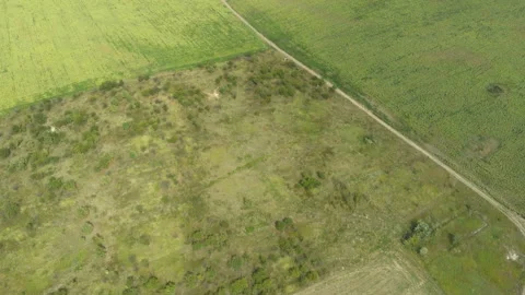 Thin ground road winds through the fields Stock-Footage 161409682
