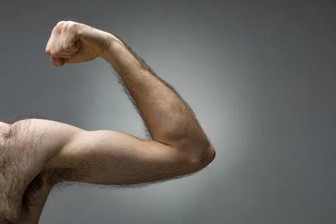 Thin Hairy Biceps Stock Photos