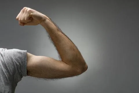 Thin Hairy Biceps Stock Photos