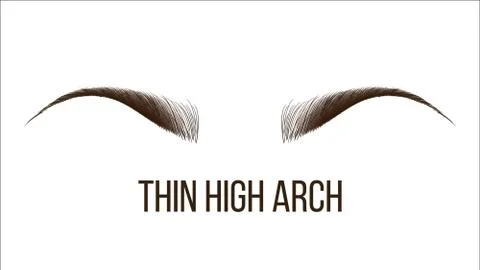 Thin High Arch Hand Drawn Brows Shape Stock Illustration