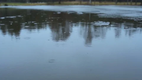 Thin ice floats in the lake while it's raining Stock Footage 83241366