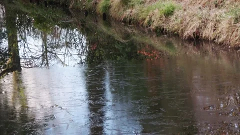 Thin ice layer on the ditch. Video stock 147668540