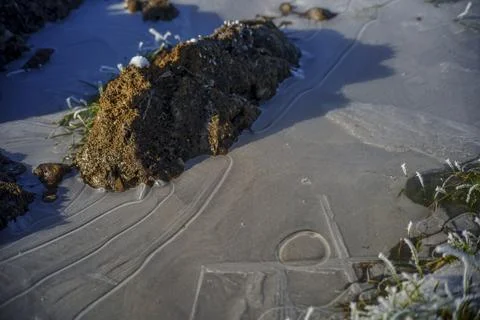 Thin ice patterns near muddy riverbank in winter Stock Photos