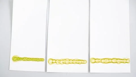 Thin Layer Chromatography preparation in laboratory Stock Photos