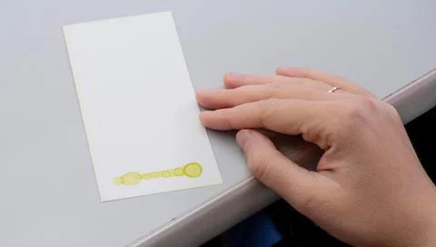 Thin Layer Chromatography preparation in laboratory Stock Photos