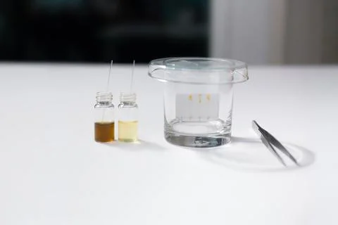 Thin Layer Chromatography (TLC) Plate Developing in Tank with Sample soluti.. Stock Photos