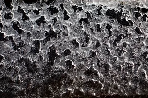 A thin layer of ice delicate ice plate Stock Photos