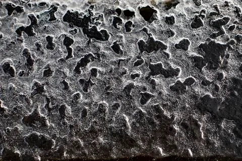 A thin layer of ice delicate ice plate Stock Photos