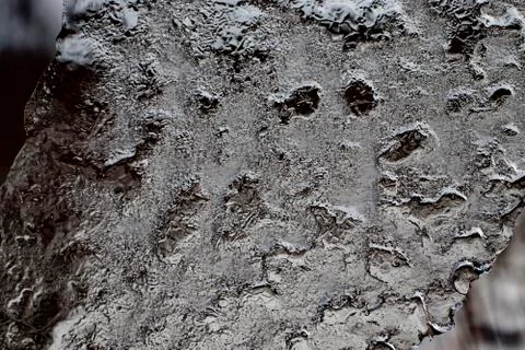 A thin layer of ice delicate ice plate Stock Photos