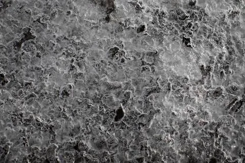 A thin layer of ice delicate ice plate Stock Photos