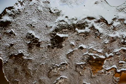 A thin layer of ice delicate ice plate Stock Photos