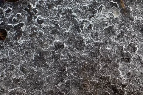 A thin layer of ice delicate ice plate Stock Photos