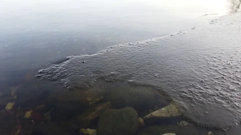 Thin layer of ice when the lake start freezing over, Finland Stock Footage 122202086