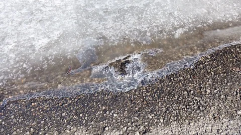 Thin layer of melting ice on the water´s edge, Finland Stock Footage 127826445