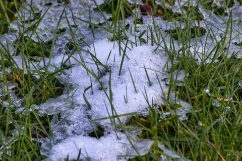 Thin layer of snow over short grassy lawn Stock Photos