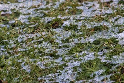 Thin layer of snow over short grassy lawn Stock Photos