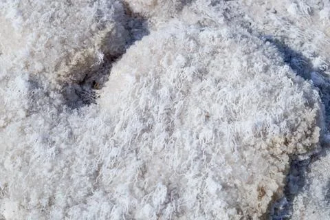 A thin layer of white salt crystals forming a crust on the shore of a drying Stock Photos