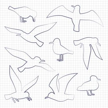Thin line birds silhouettes 스톡 일러스트