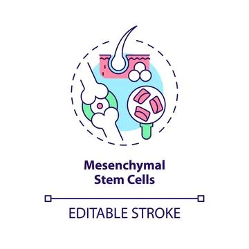 Thin line colorful mesenchymal stem cells icon concept Illustrazione stock