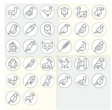 Thin Line Detail Enhanced Vector Icons from Avian Set with 32 Retina Ready .. Stock Illustration