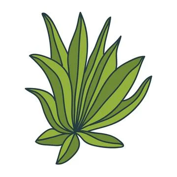 Thin line doodle bush or bunch of grass isolated on white background. Flora.. Stock Illustration