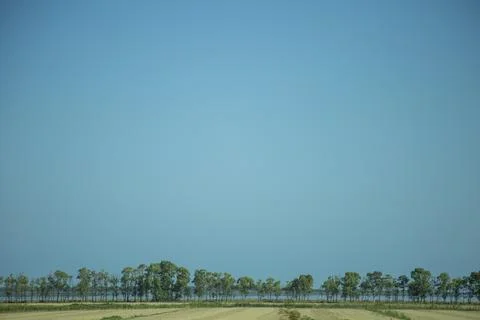 A thin line of the field with trees and river and a blue sky Stock Photos