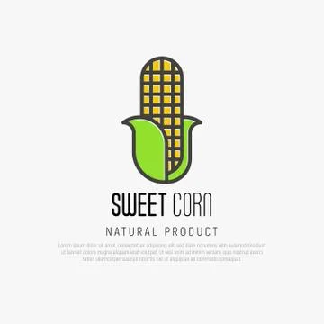 Thin line icon of corn for logo or warning ingredient. Vector illustration. Illustrazione stock