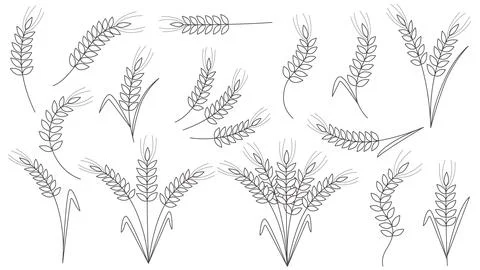 Thin line icons of cereal ears Stock Illustration