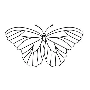 Thin linear butterfly monochrome vector illustration Stock Illustration