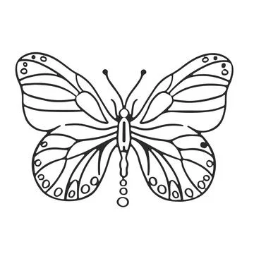 Thin linear butterfly monochrome vector illustration Stock Illustration