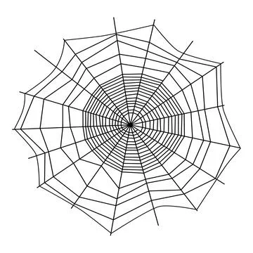 Thin lines spider web in trendy minimalism style Stock Illustration