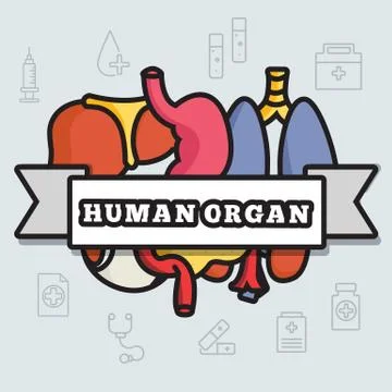 Thin lines style human organs set icons concept. Vector illustration design Stock Illustration