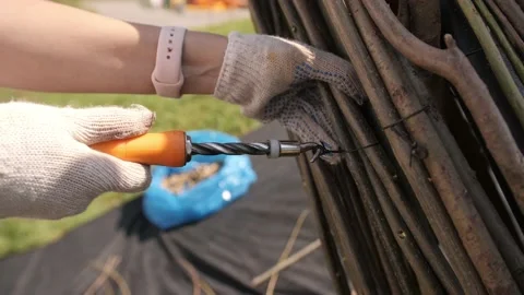 Thin long branches for decoration Video stock 179136608