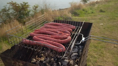 Thin Long Raw Sausages lie And Fry On The Grill In Nature Stock Footage 292087819