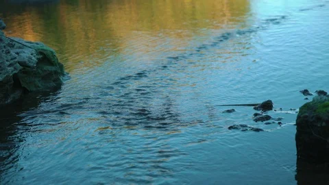 Thin but long water stream in the river, 4k footage Stock Footage 97944228