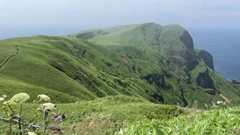 Thin mist rolling over grassy coastal cliffs Stock Footage 217895531
