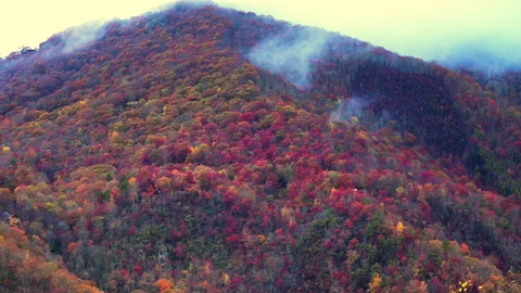 Thin morning clouds move across the summit in the Great Smoky Mountains Stock Footage 321747245