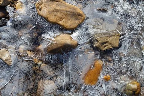 Thin openwork ice covered the wet river pebbles Stock Photos