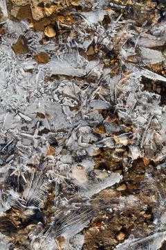 Thin openwork ice covers the surface of the beach Stock Photos