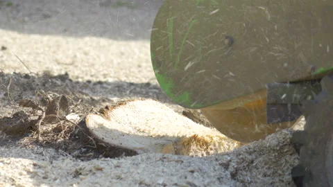 A thin part of the tree stump being cut by the stump cutter Stock Footage 138279890