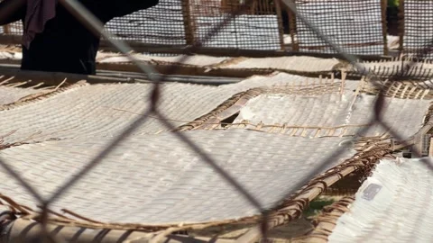 Thin rice sheets rest on bamboo grids behind a fence with dense rows of drying Stock Footage 331943916