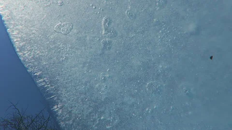 Thin sheet of melting spring ice with air bubbles frozen into it floats Stock Footage 303083753