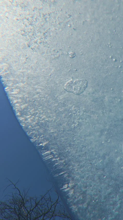 Thin sheet of melting spring ice with air bubbles frozen into it floats Vídeo Stock 331610754