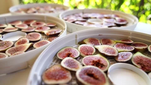 Thin slices of ripe figs lie on the table on the trays of the fruit dryer Stock Footage 282340737