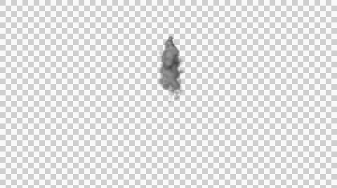 Thin Streak of Smoke Bottom to Top Vídeo Stock 42341692